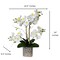 Amelie Real Touch Phalaenopsis Orchid Arrangement Silver Ceramic Vase